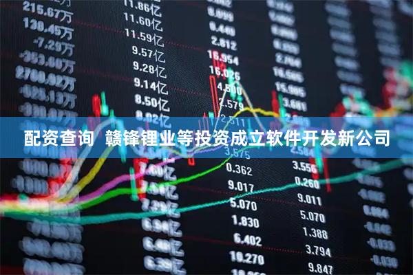 配资查询  赣锋锂业等投资成立软件开发新公司