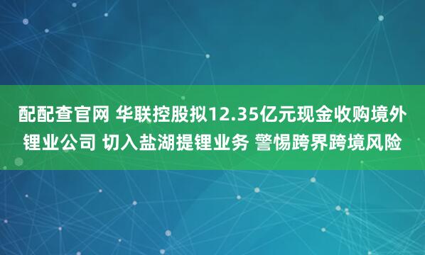 配配查官网 华联控股拟12.35亿元现金收购境外锂业公司 切入盐湖提锂业务 警惕跨界跨境风险